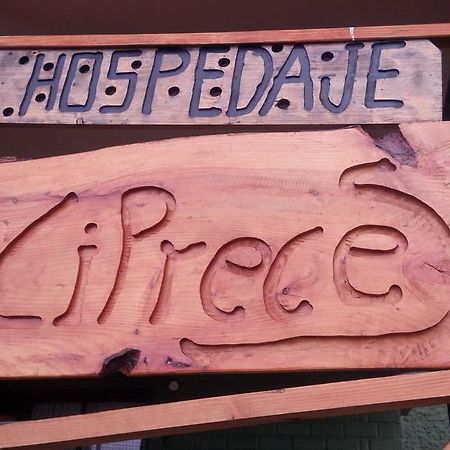 Hospedaje Los Cipreses Coyhaique Dış mekan fotoğraf