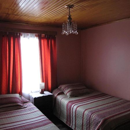 Hospedaje Los Cipreses Coyhaique Dış mekan fotoğraf