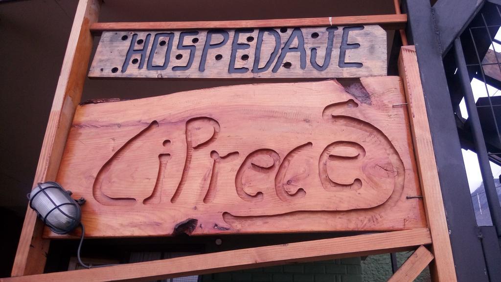 Hospedaje Los Cipreses Coyhaique Dış mekan fotoğraf