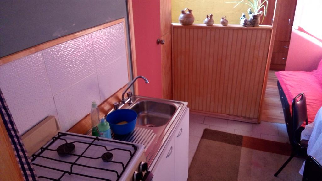 Hospedaje Los Cipreses Coyhaique Dış mekan fotoğraf