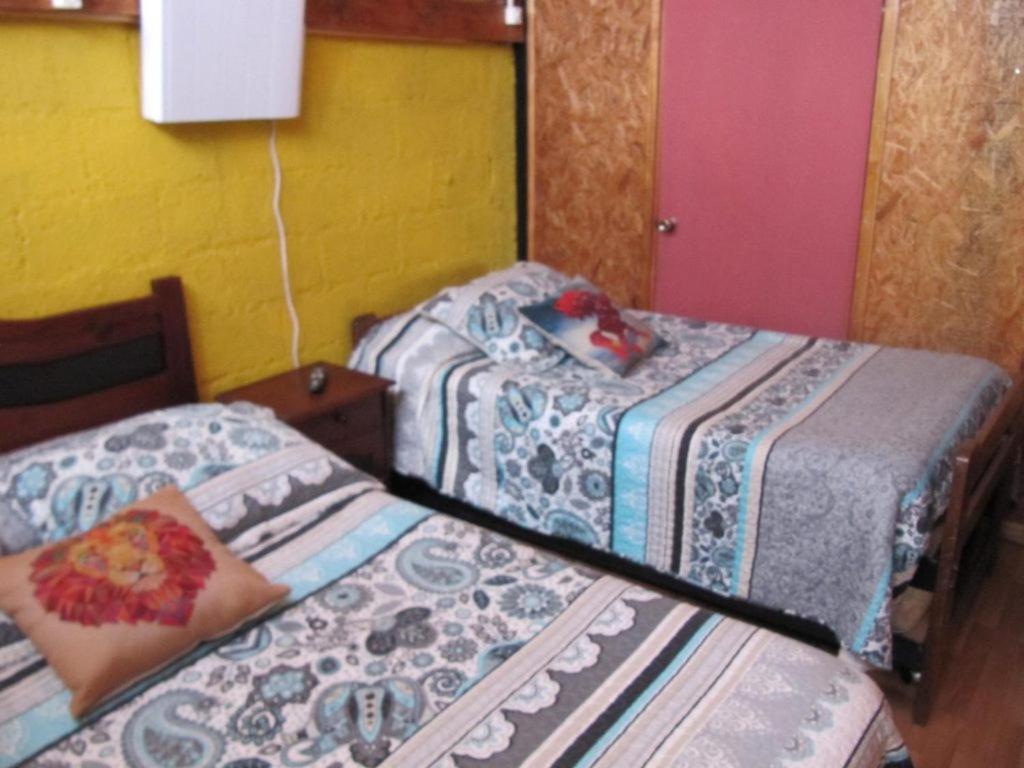 Hospedaje Los Cipreses Coyhaique Dış mekan fotoğraf